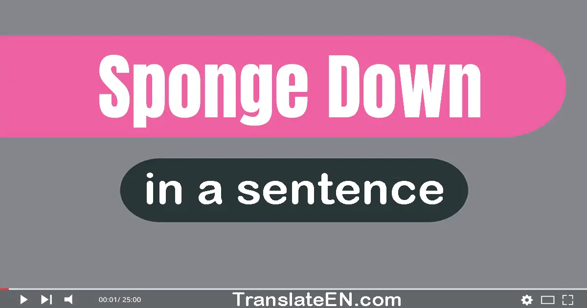 Sponge Down in a sentence