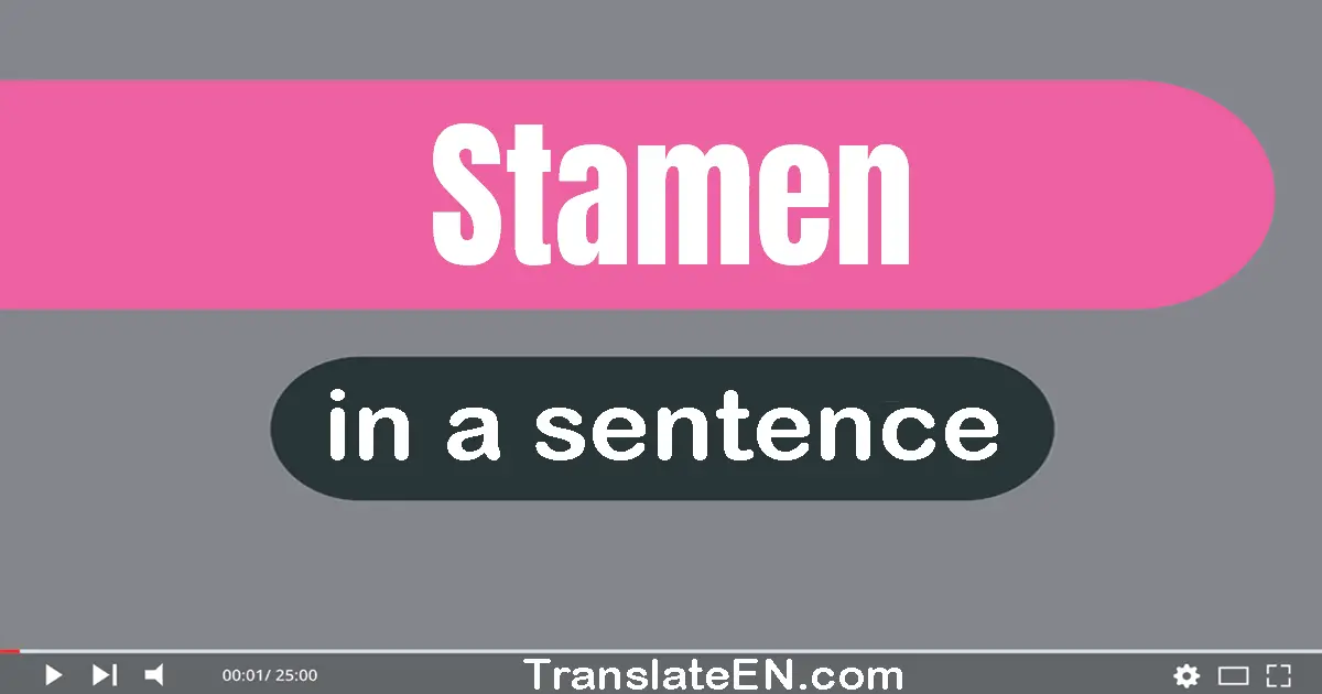 Stamen in a sentence