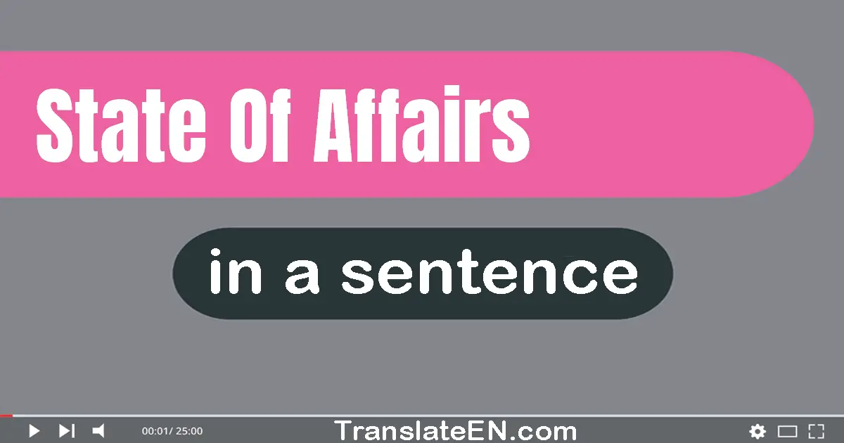 Use "state of affairs" in a sentence | "state of affairs" sentence examples