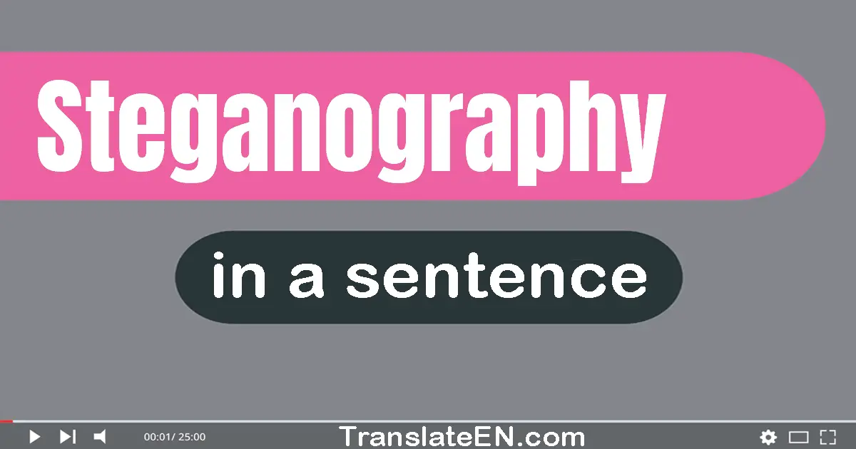 Use "steganography" in a sentence | "steganography" sentence examples