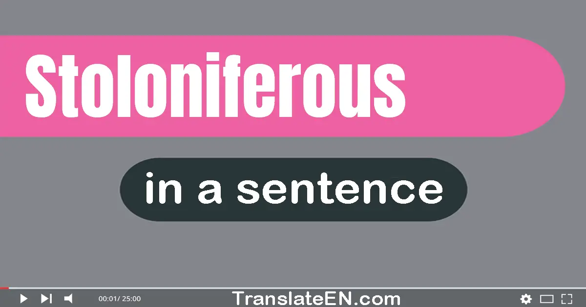 Stoloniferous in a sentence