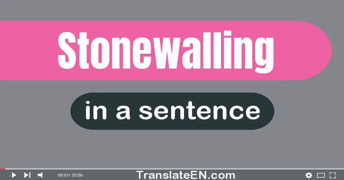 Use "stonewalling" in a sentence | "stonewalling" sentence examples