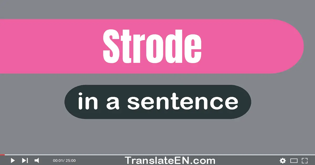 Use "strode" in a sentence | "strode" sentence examples