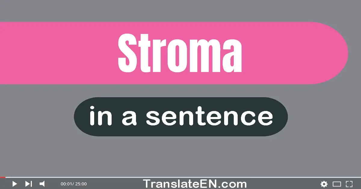 Use "stroma" in a sentence | "stroma" sentence examples