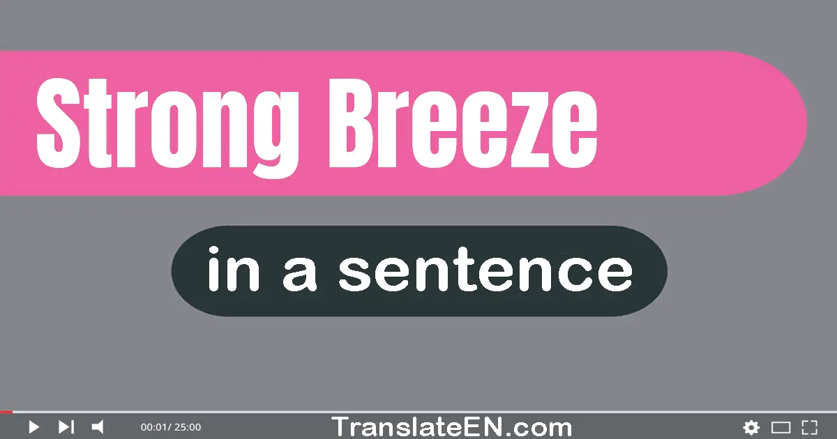 Use "strong breeze" in a sentence | "strong breeze" sentence examples