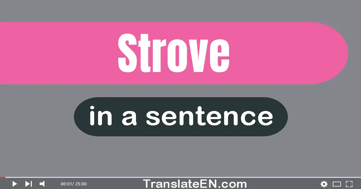 Use "strove" in a sentence | "strove" sentence examples