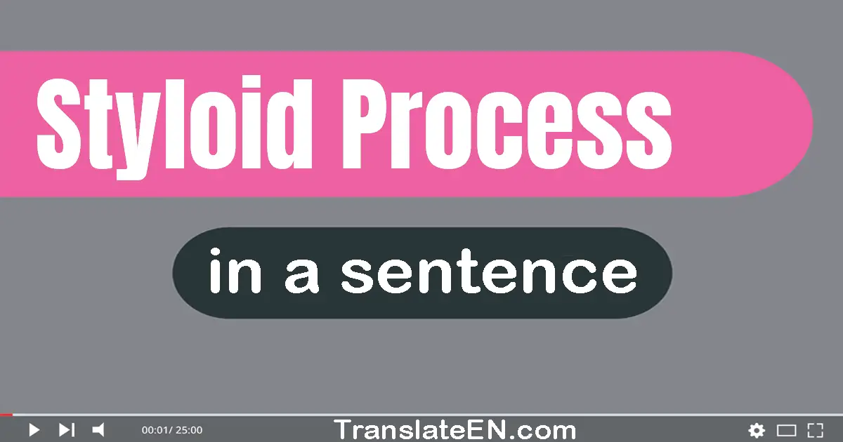 Use "styloid process" in a sentence | "styloid process" sentence examples