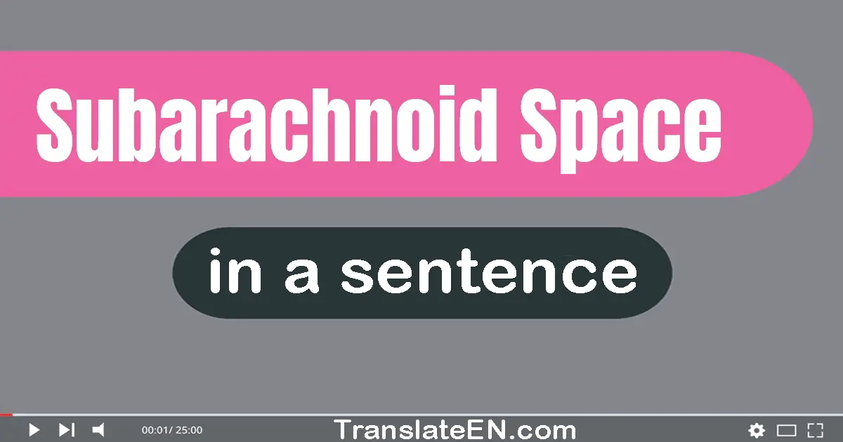 Use "subarachnoid space" in a sentence | "subarachnoid space" sentence examples
