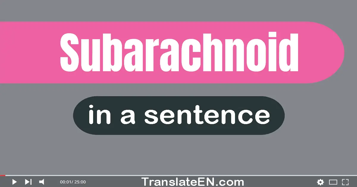 Use "subarachnoid" in a sentence | "subarachnoid" sentence examples