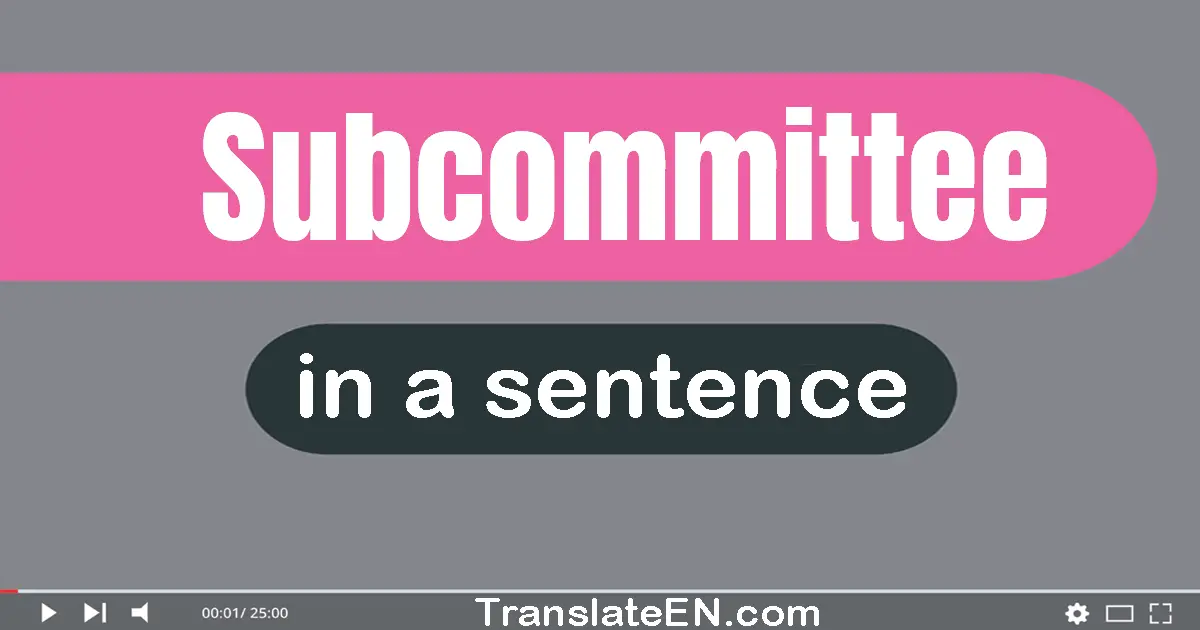 Use "subcommittee" in a sentence | "subcommittee" sentence examples