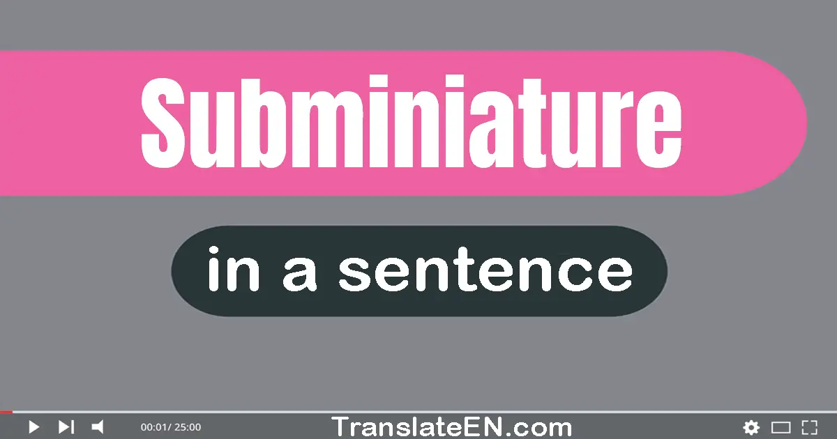 Use "subminiature" in a sentence | "subminiature" sentence examples