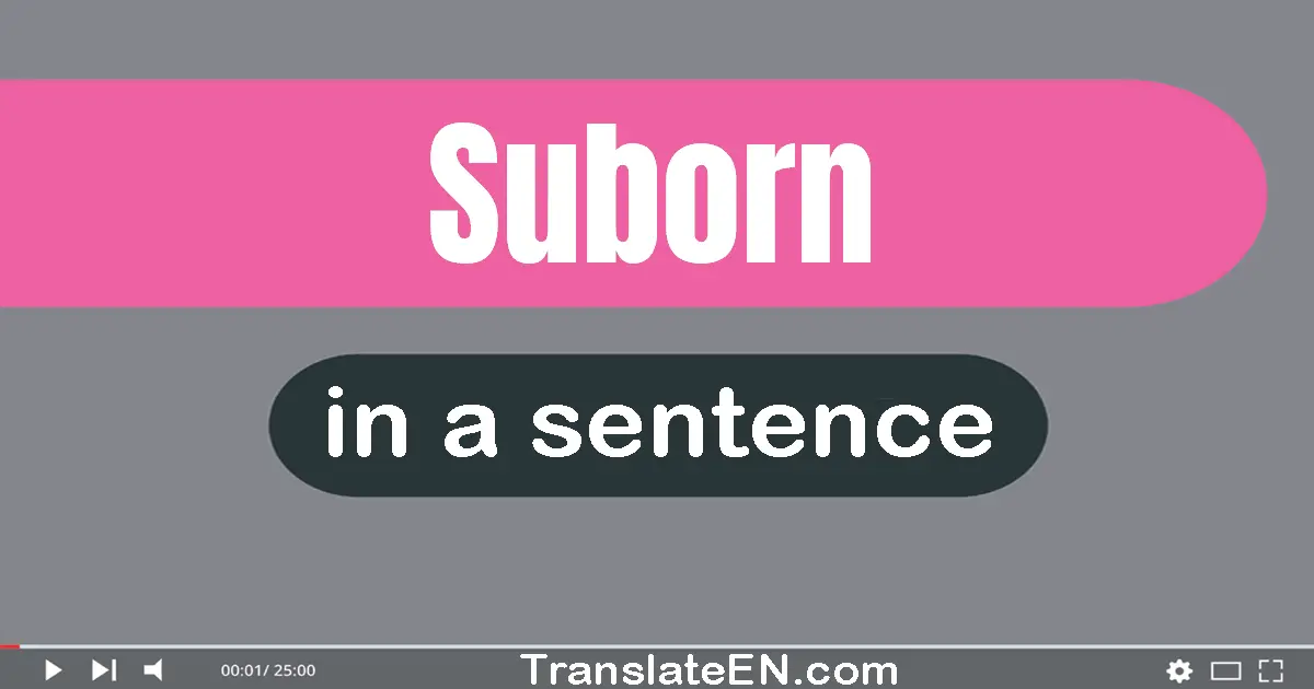 Use "suborn" in a sentence | "suborn" sentence examples