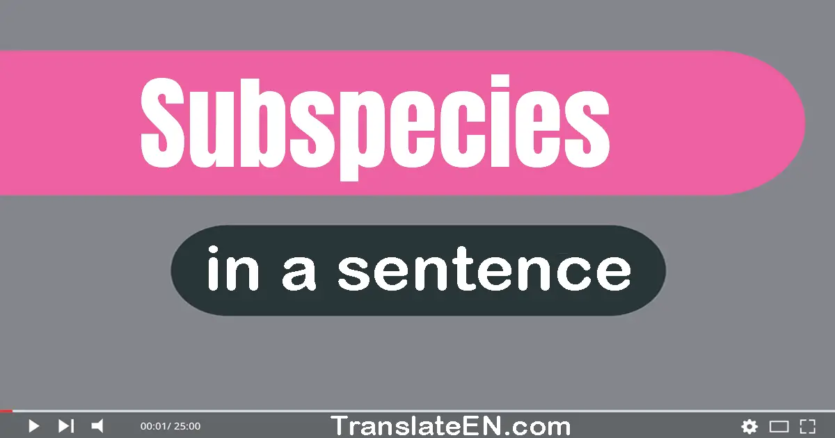 Subspecies in a sentence