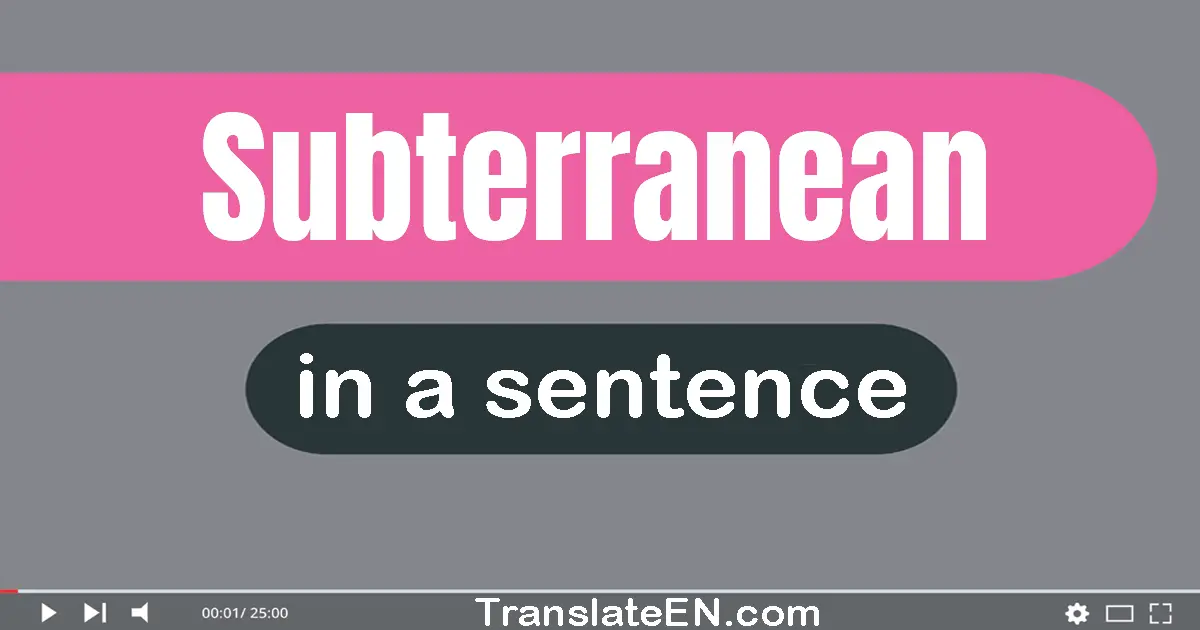 Subterranean in a sentence