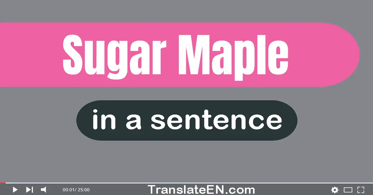 Sugar Maple in a sentence