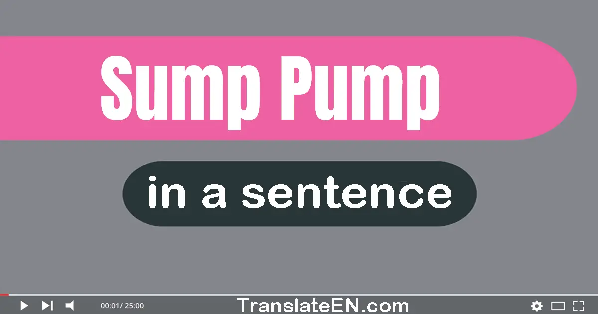 Sump Pump in a sentence