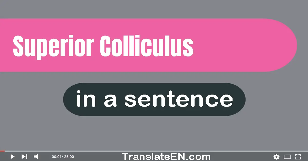 Superior Colliculus in a sentence