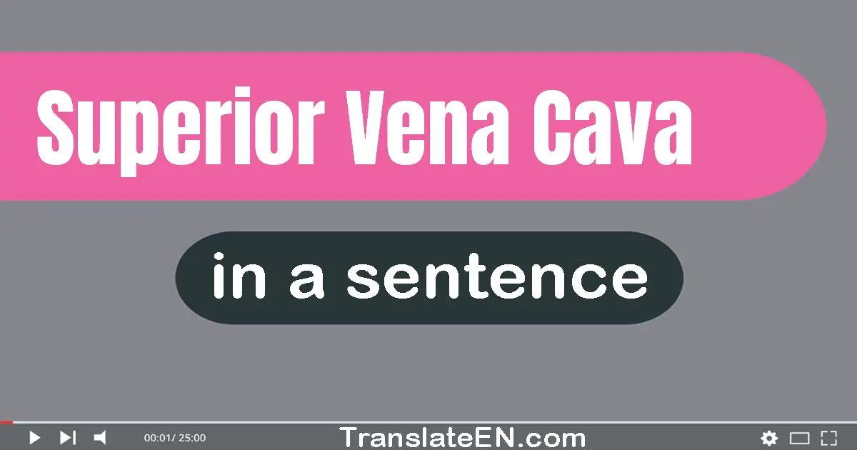 Superior Vena Cava in a sentence