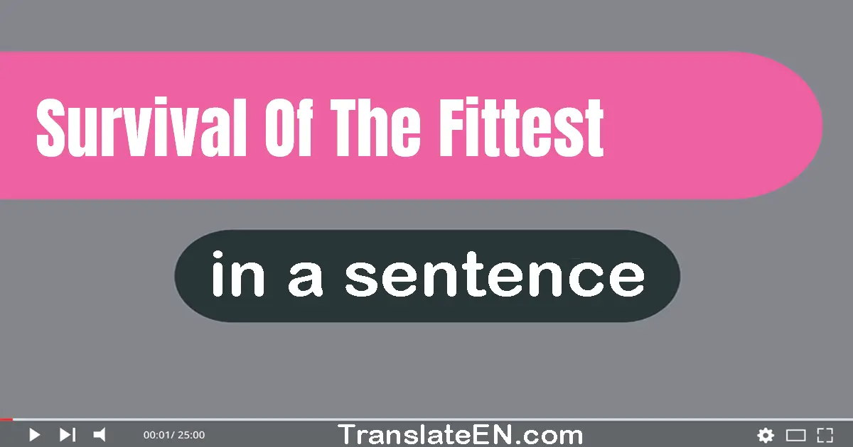 Use "survival of the fittest" in a sentence | "survival of the fittest" sentence examples