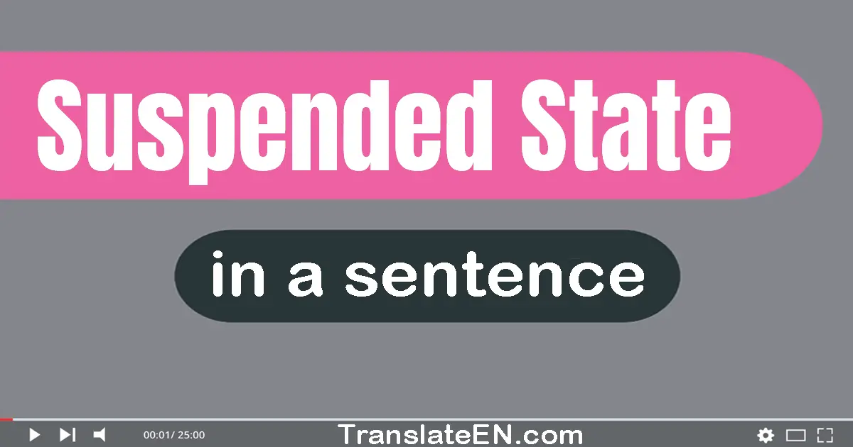 Use "suspended state" in a sentence | "suspended state" sentence examples