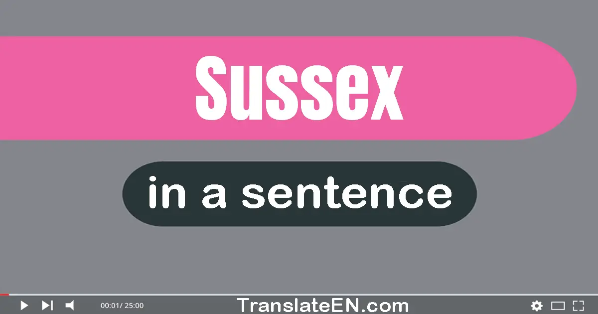 Use "sussex" in a sentence | "sussex" sentence examples