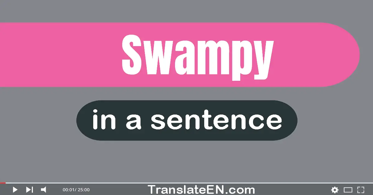 Swampy in a sentence