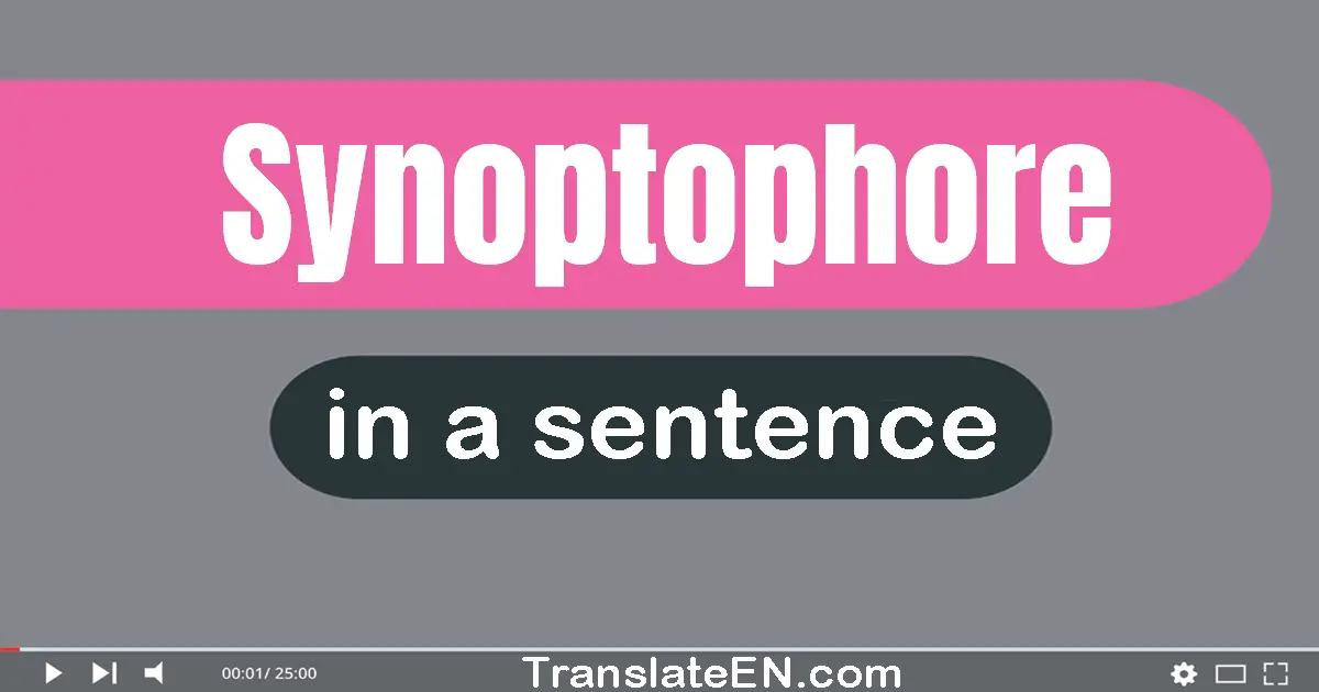 Use "synoptophore" in a sentence | "synoptophore" sentence examples