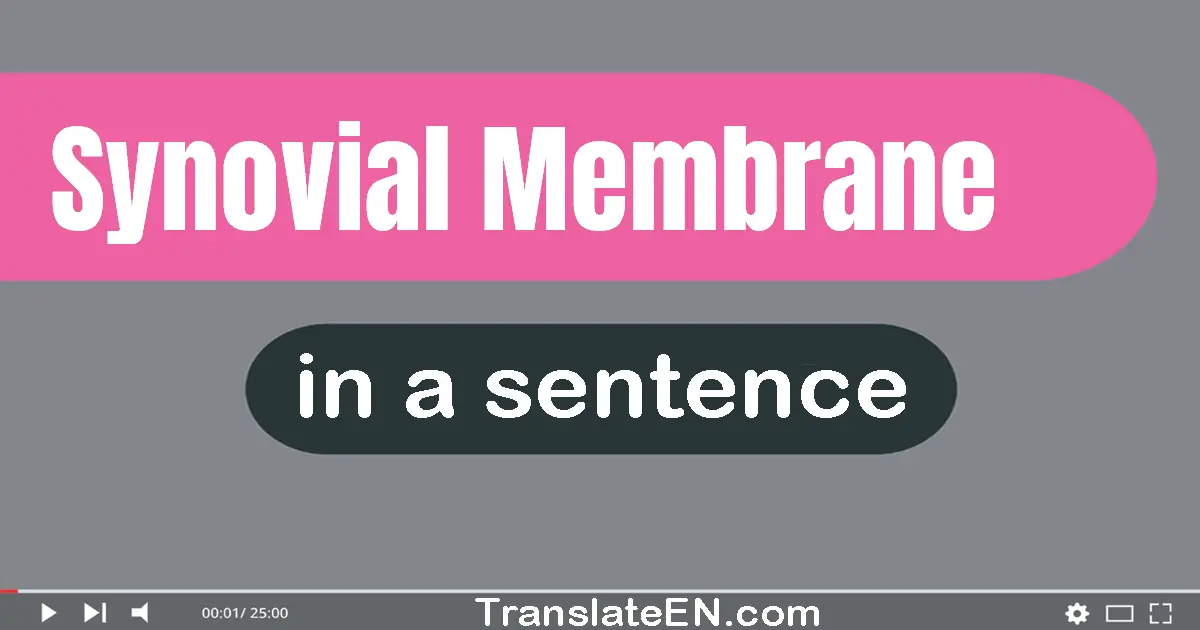 Use "synovial membrane" in a sentence | "synovial membrane" sentence examples