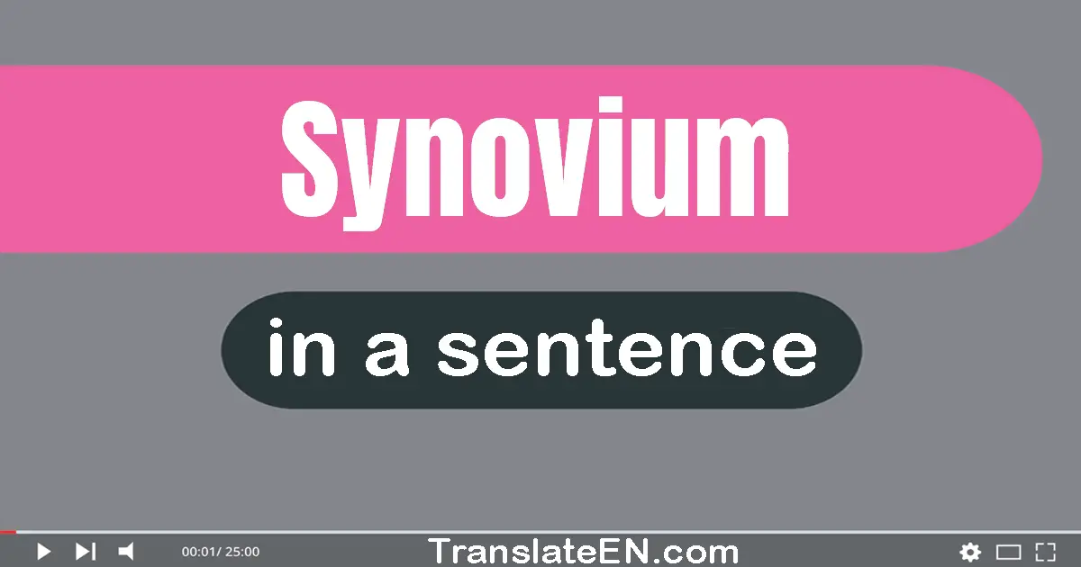 Use "synovium" in a sentence | "synovium" sentence examples