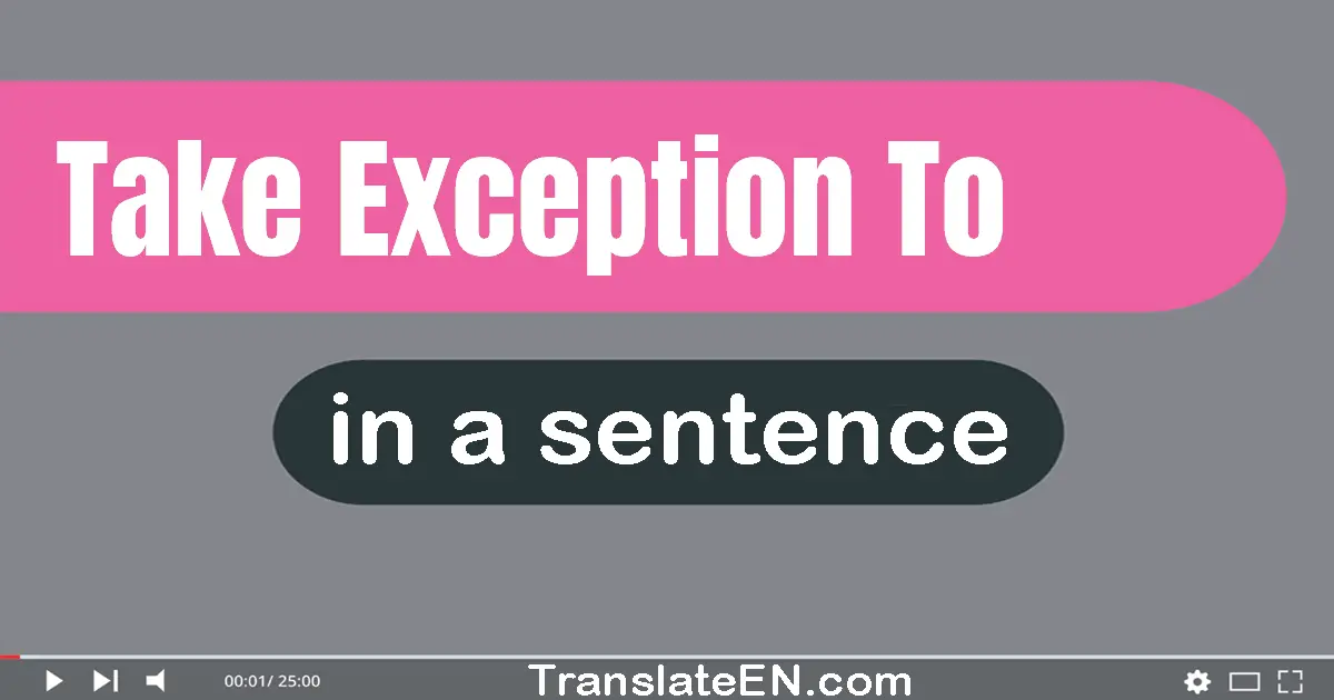 Use "take exception to" in a sentence | "take exception to" sentence examples