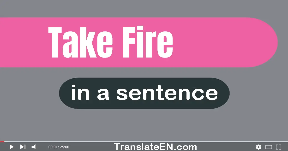 Use "take fire" in a sentence | "take fire" sentence examples