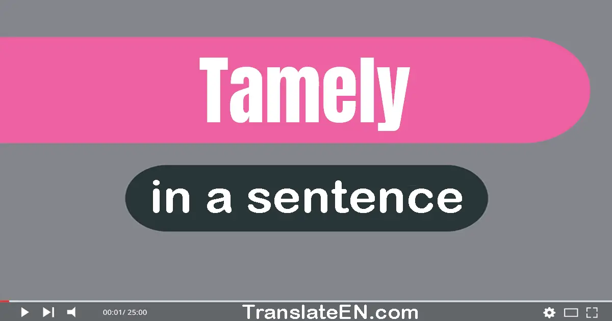 Tamely in a sentence