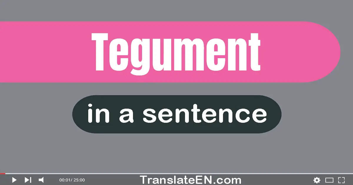 Tegument in a sentence