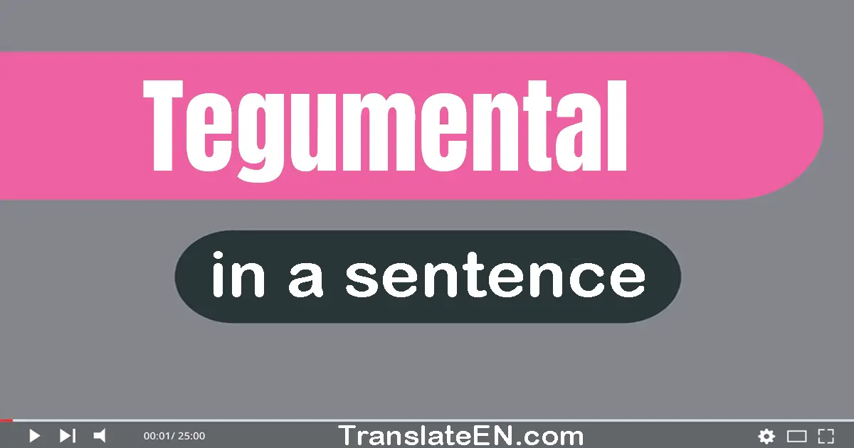 Tegumental in a sentence