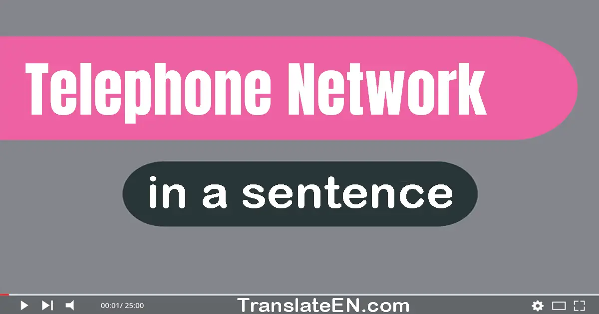 Telephone Network in a sentence