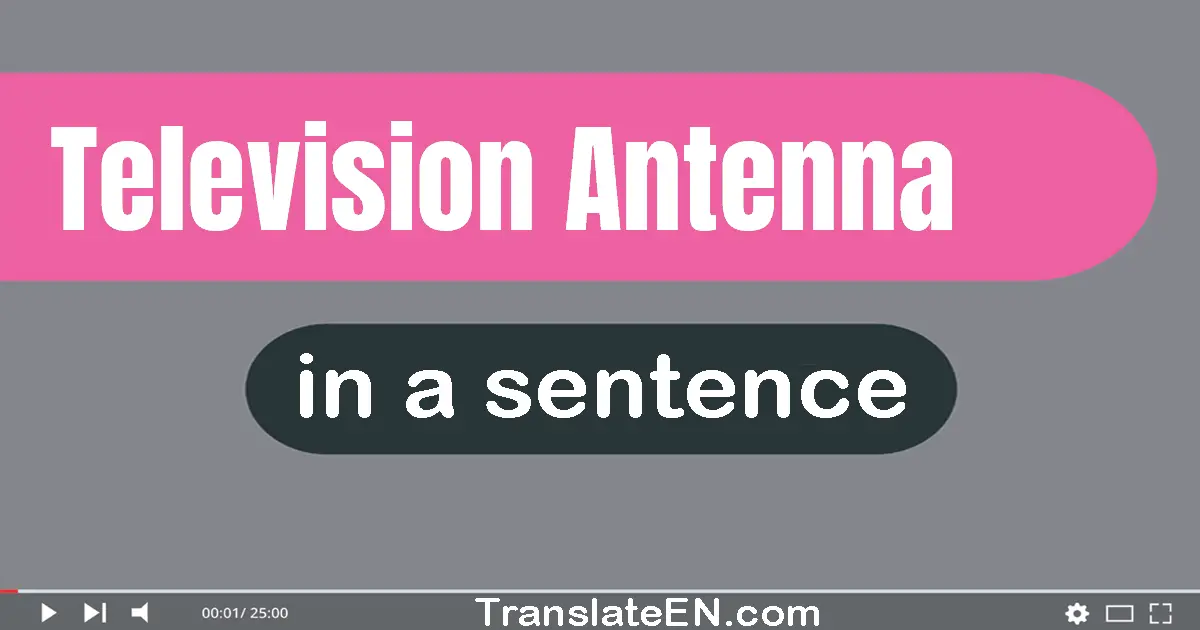 Use "television antenna" in a sentence | "television antenna" sentence examples