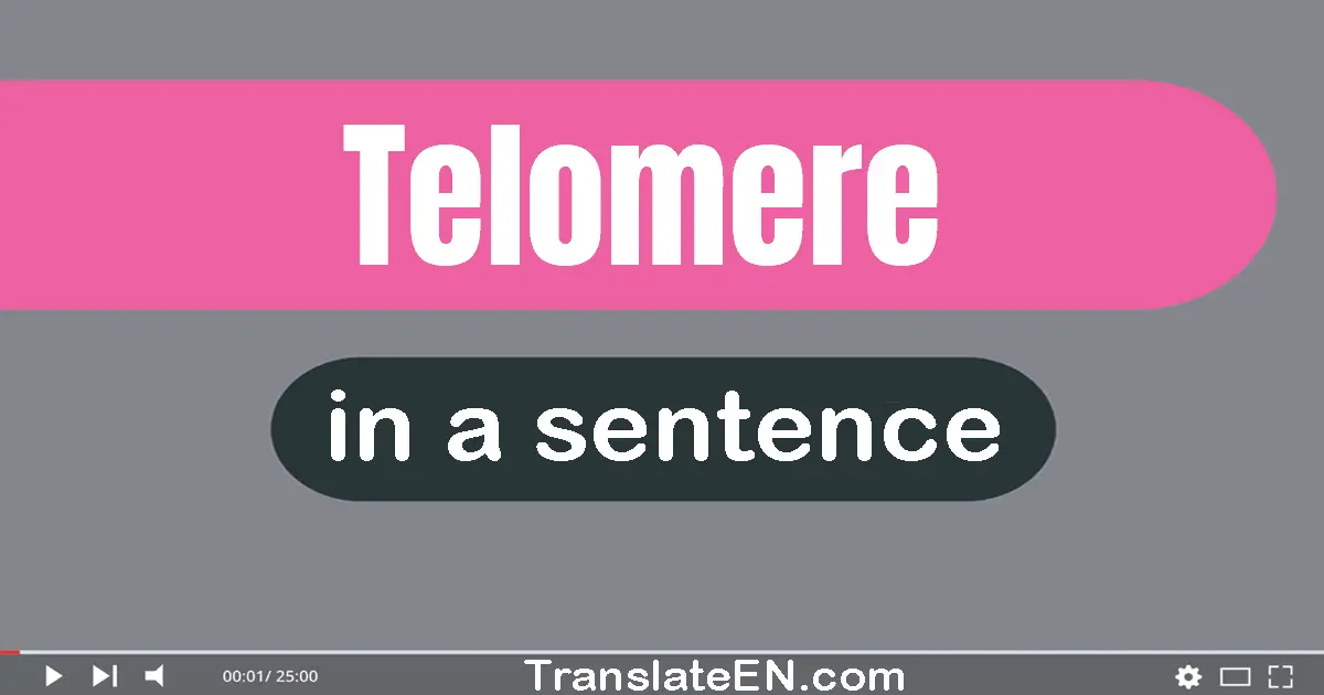 Telomere in a sentence