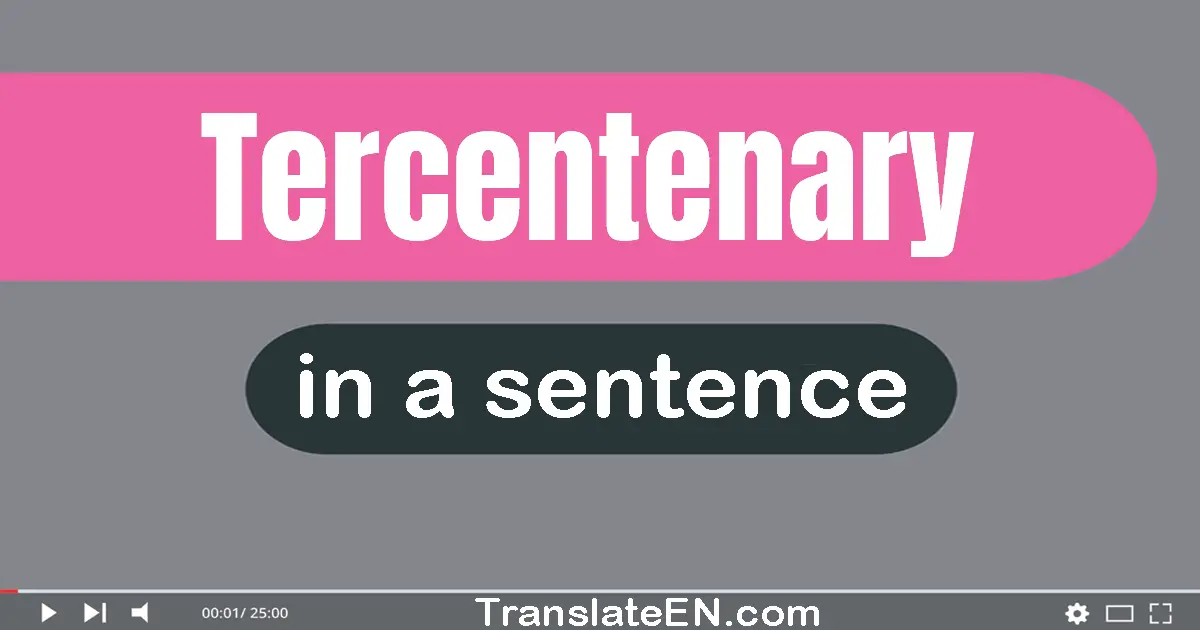 Use "tercentenary" in a sentence | "tercentenary" sentence examples