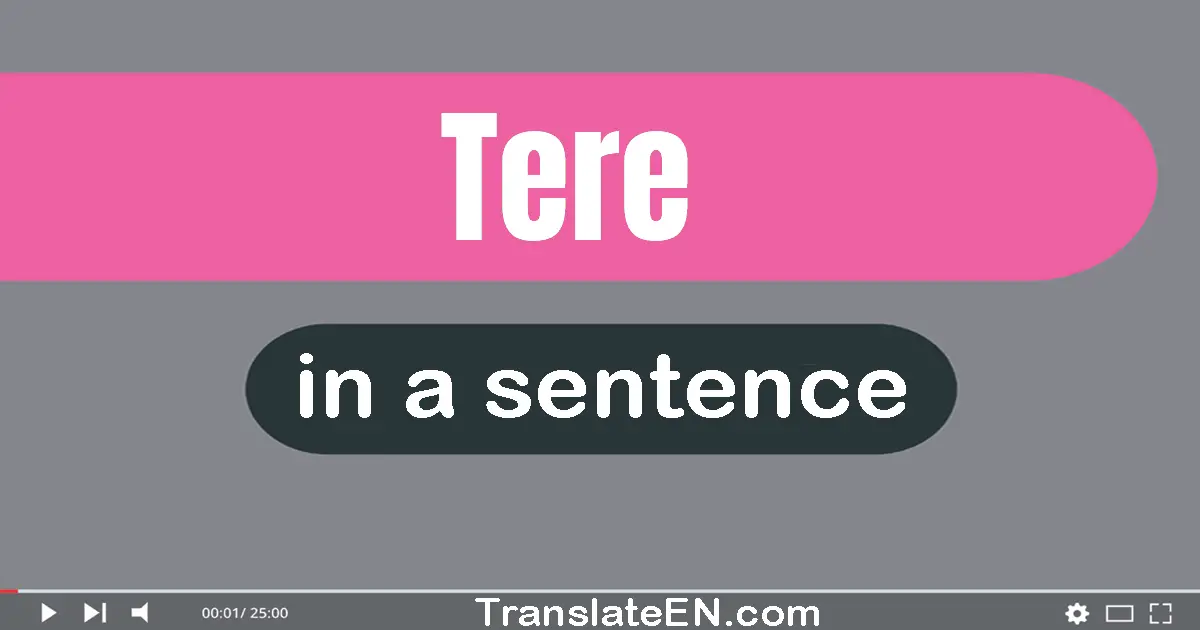 Use "tere" in a sentence | "tere" sentence examples