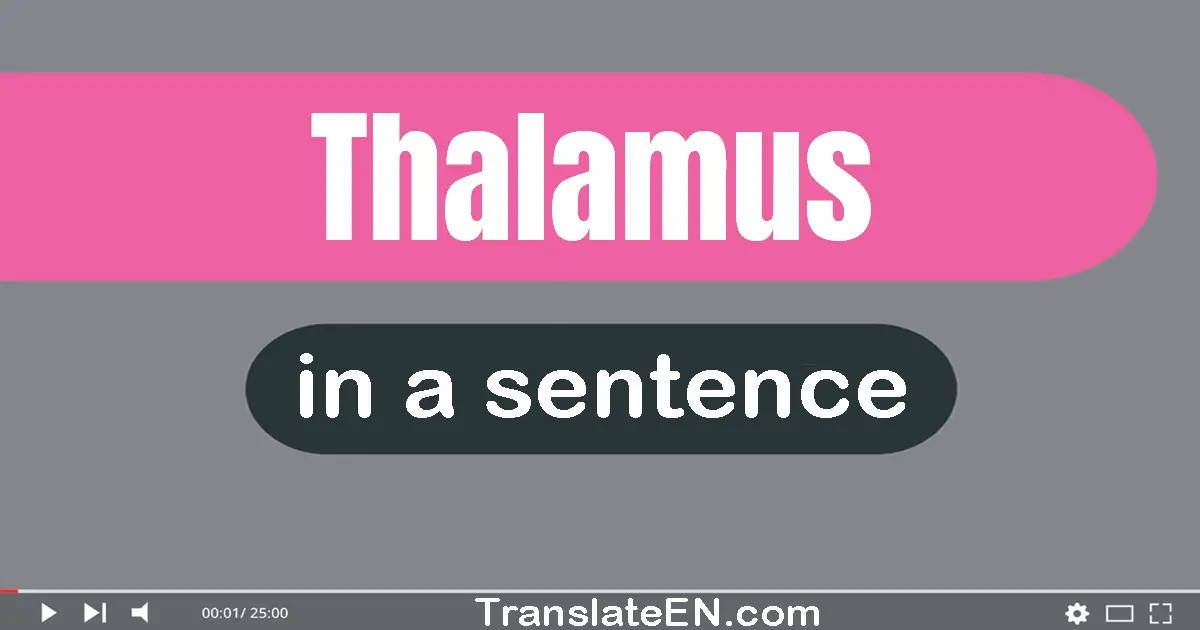 Thalamus in a sentence