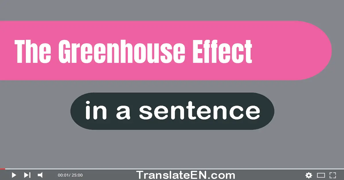 The Greenhouse Effect in a sentence