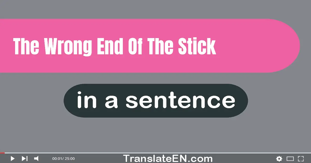 Use "the wrong end of the stick" in a sentence | "the wrong end of the stick" sentence examples