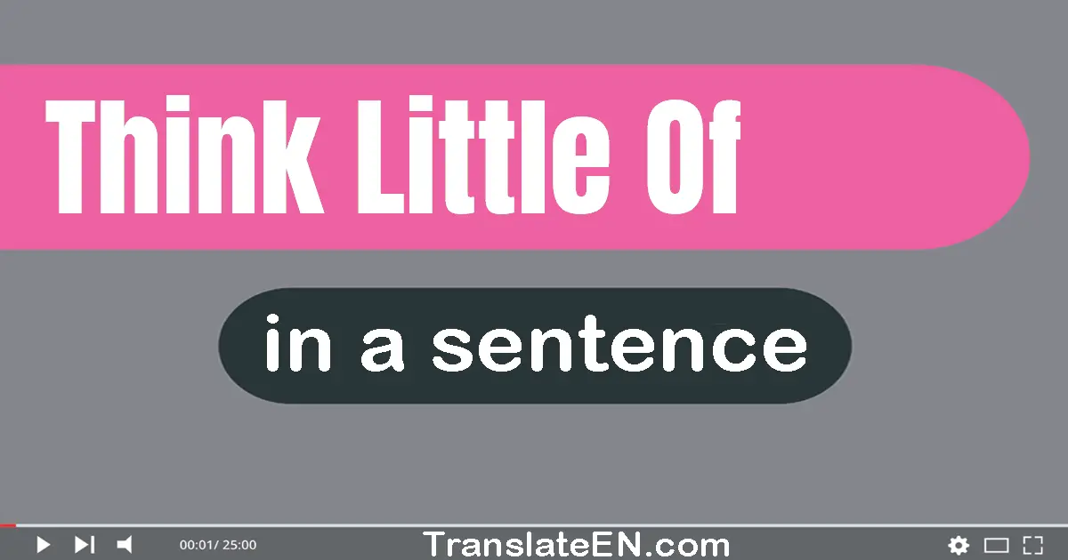 Use "think little of" in a sentence | "think little of" sentence examples