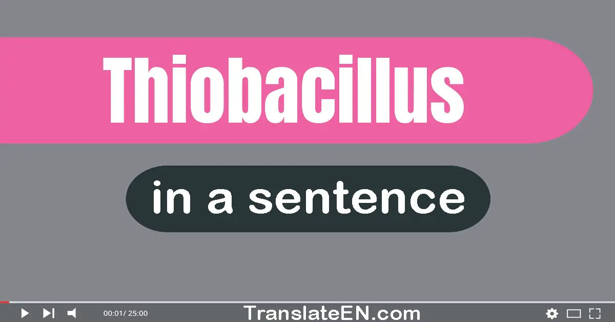 Use "thiobacillus" in a sentence | "thiobacillus" sentence examples