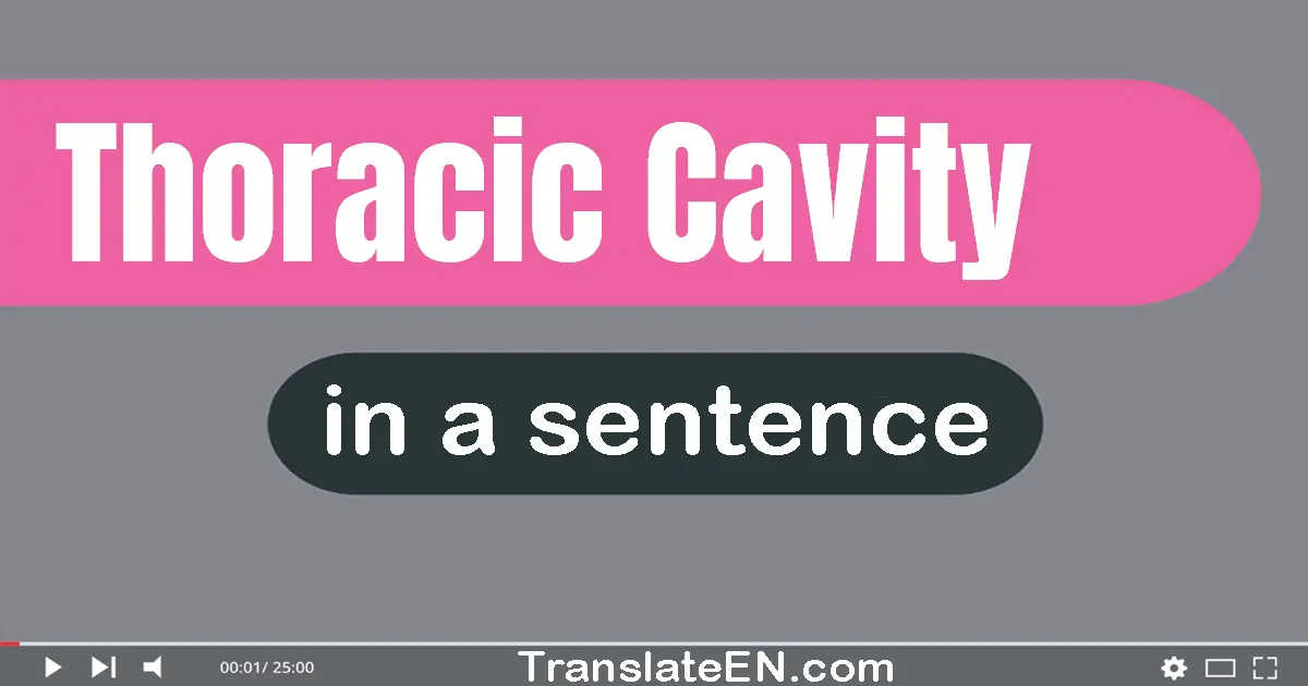 Thoracic Cavity in a sentence