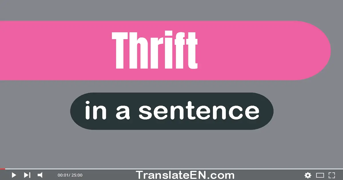 Thrift in a sentence