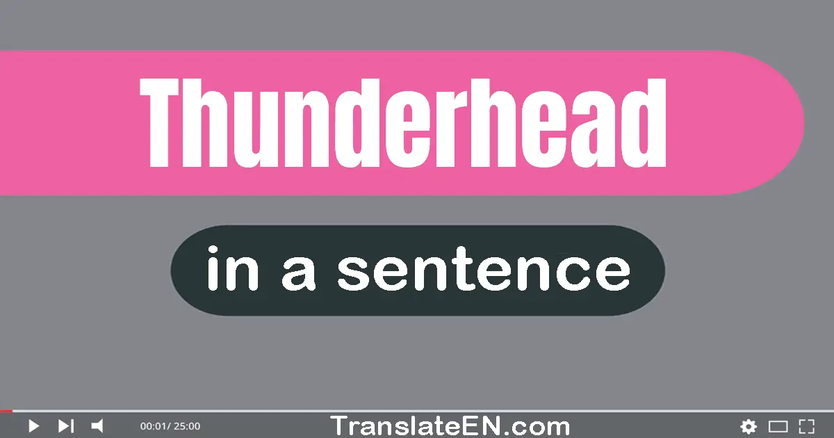 Use "thunderhead" in a sentence | "thunderhead" sentence examples