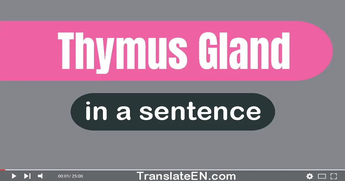 Thymus Gland in a sentence