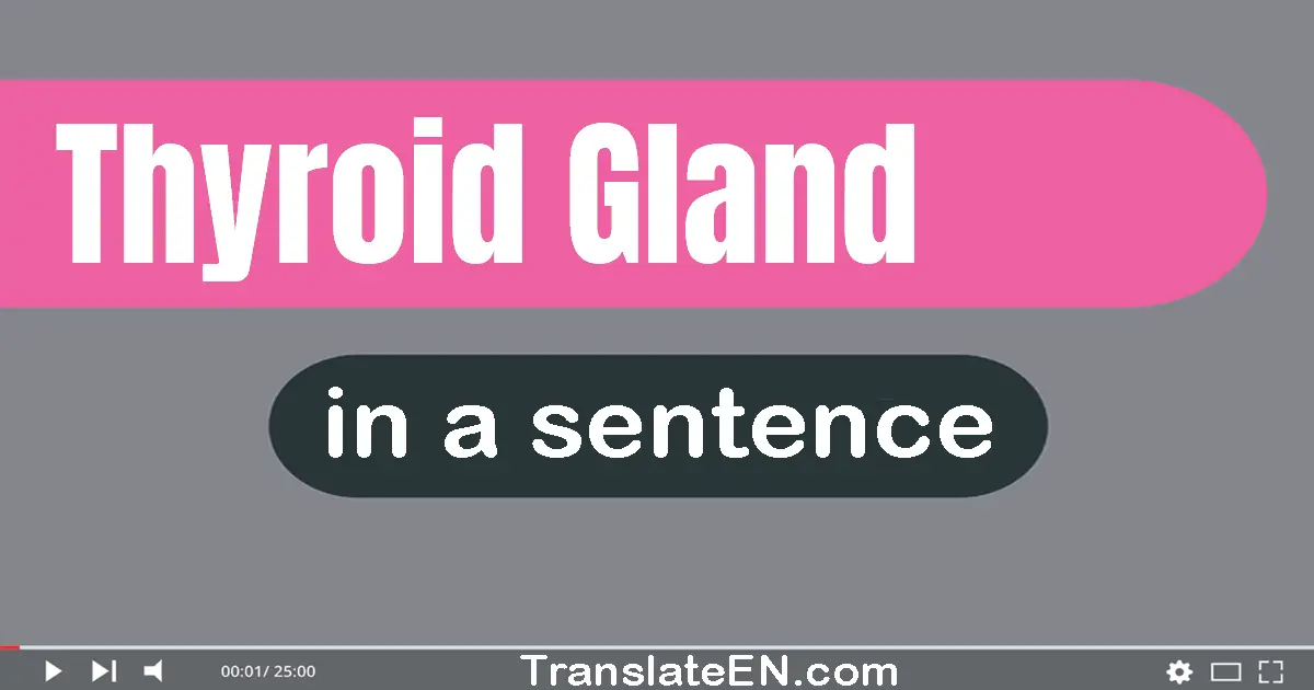 Use "thyroid gland" in a sentence | "thyroid gland" sentence examples