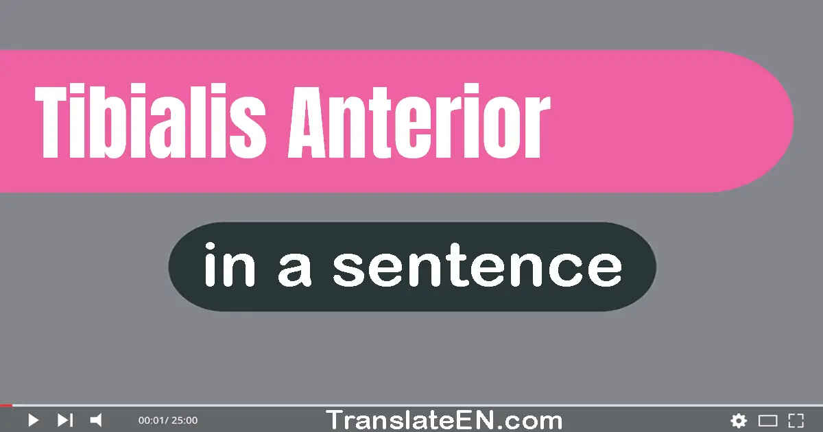 Tibialis Anterior in a sentence